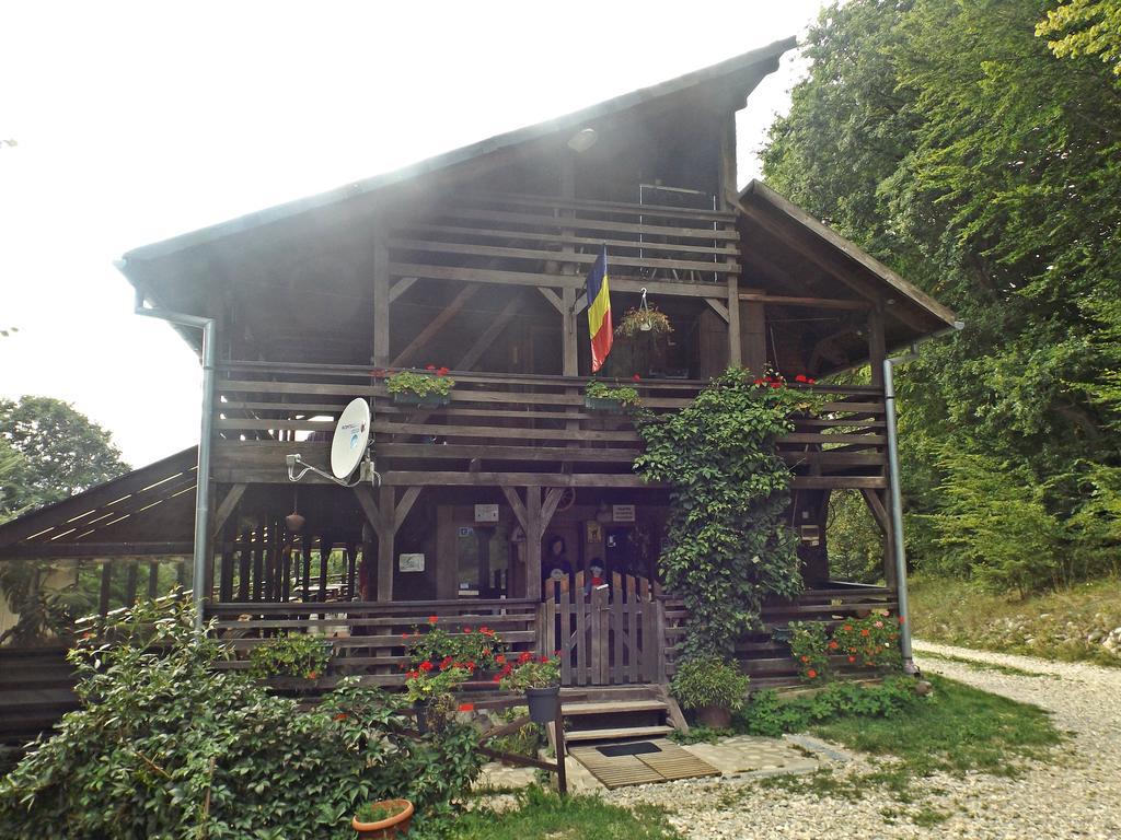 Cabana La Noi Hotel Risnov Exterior photo