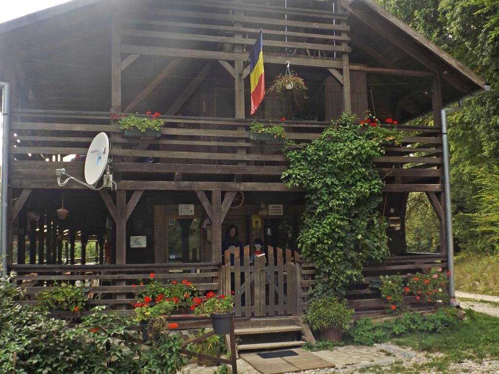 Cabana La Noi Hotel Risnov Exterior photo